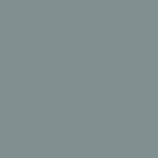 Product Image of RAL 7045 - Telegray 1