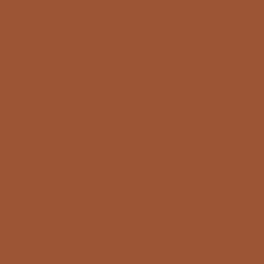 Product Image of RAL 8004 - Copper Brown
